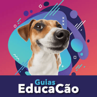 Guias Educação Adestramento de Cães